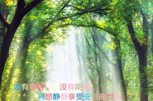 陈莘陈晟善华全文免费 陈莘陈晟善华在线阅读