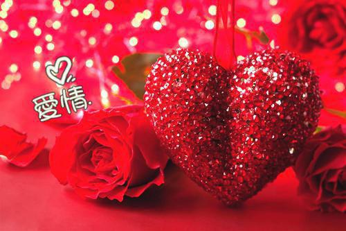 老公为给初恋守身装了五年回避型依恋小说(游羡之庄韵郭恒)章节阅读