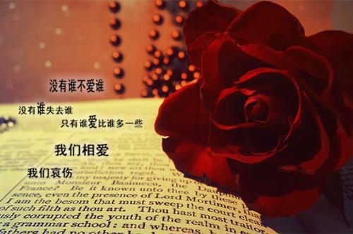 闻夏薄少辞是什么小说 闻夏薄少辞全本免费阅读