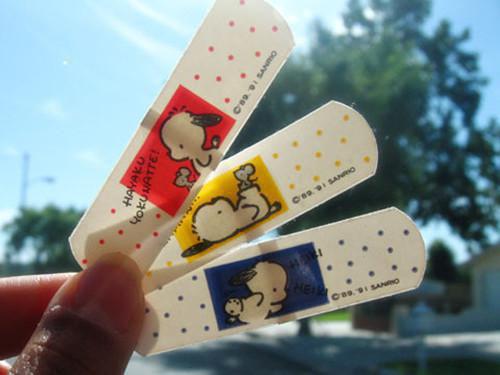 乔乔宋轻轻小说章节免费阅读 乔乔宋轻轻无弹窗