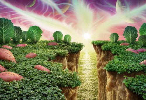 今天也是当妖妃的一天免费章节抢先阅读