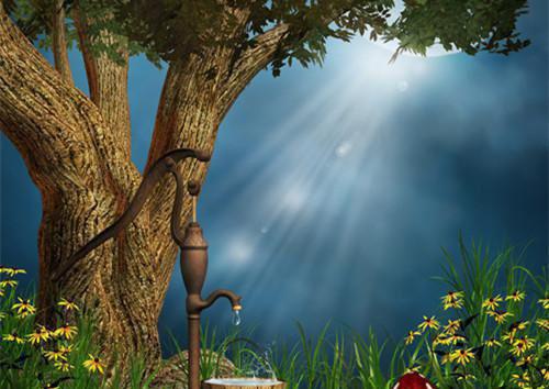 主角名是阮夏湛吟寒全文免费阅读正版