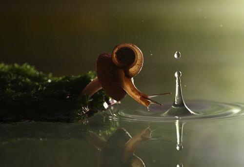 林霜桑暮景是啥小说 林霜桑暮景免费阅读无广告