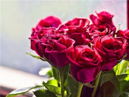 苏清寒叶凡小说全文阅读 苏清寒叶凡第六章