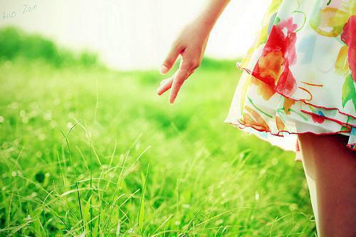 宋晚栀江肆全文免费 宋晚栀江肆在线阅读