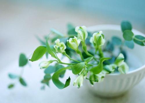 沈舒黎陆川免费全本小说 沈舒黎陆川章节目录