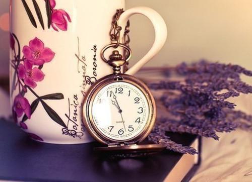 (最新)若若小说完整版免费阅读