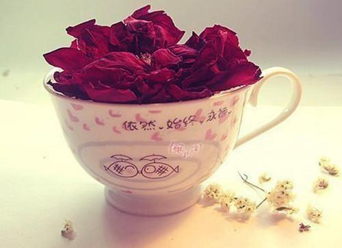 白仙的恋爱脑摘除手术小说全集 乔易之莫莉全本资源在线阅读