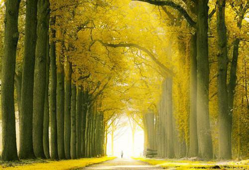 方妍林方的故事 咖啡姐把我当小三，当众扒光我衣服章节阅读