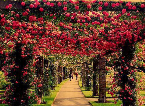 姜听听靳知川小说在哪里看 姜听听靳知川在线阅读第3章