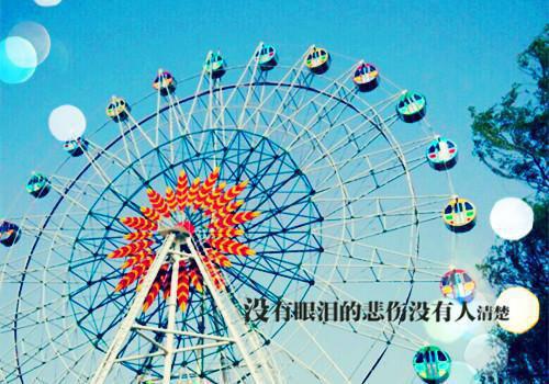 云卿月凤苍小说目录 云卿月凤苍完整免费版阅读