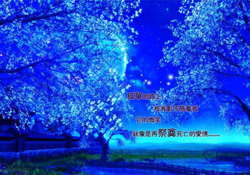 主角阮夏湛吟寒小说 阮夏湛吟寒小说全文免费阅读