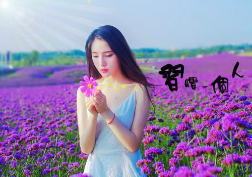 宋薇羽夜庞免费小说 宋薇羽夜庞全文阅读目录