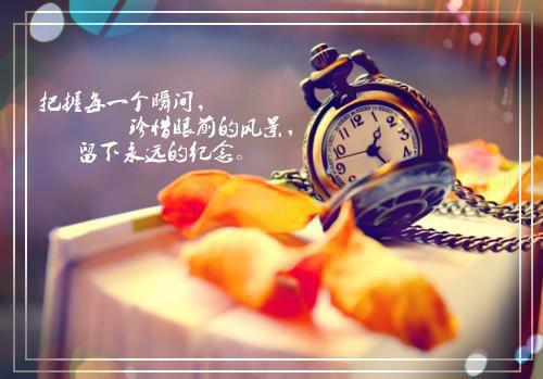 宋旭孙婕张友宋修诚小说目录 宋旭孙婕张友宋修诚完整免费版阅读