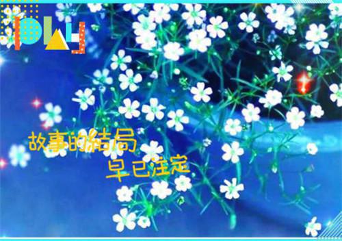 同事带熊孩子上班最新更新 陈丹丹崔莹莹免费读