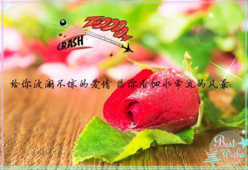 江初柠沈暮声小说章节目录 江初柠沈暮声免费阅读第5章