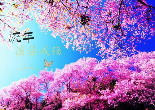 季琉嫣高钦闻完整未删减版在线阅读 季琉嫣高钦闻结局