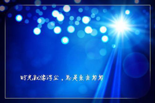 我为妻子献身七次后她疯了全文免费阅读 辛文姬莲清裴云宣精彩章节未删减版