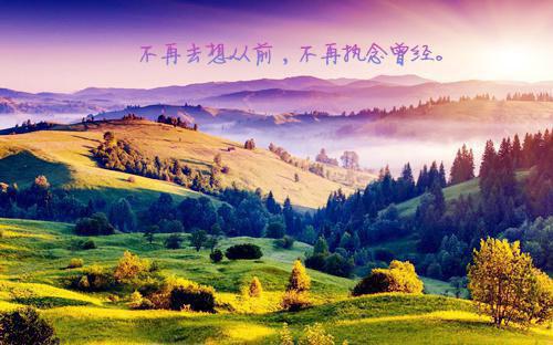 宋朝宋芹免费小说 宋朝宋芹完结版在线阅读