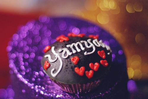 谢斯南陆知之免费最新章节_谢斯南陆知之免费全文阅读