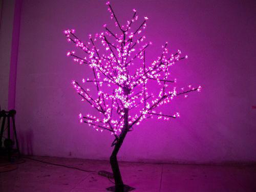 主角名是谢怀许怡然方冉全文免费阅读正版