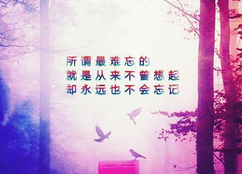 沈枝意商时序什么小说 沈枝意商时序全文免费阅读