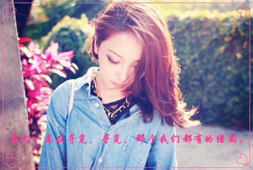 苏菡锦湛苏芸结局是什么 苏菡锦湛苏芸免费阅读全文