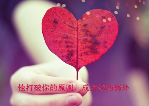 (抖音小说)方政文南乔小说全文阅读免费