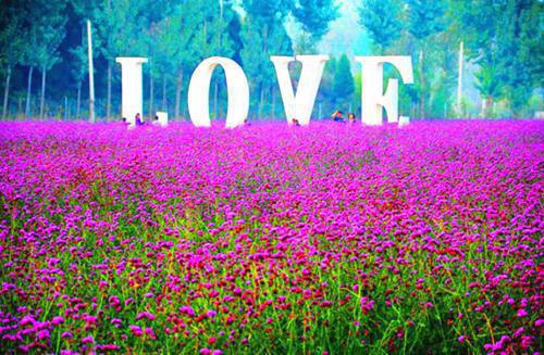 李烁白沁宁（李烁白沁宁）全文免费阅读无弹窗大结局_李烁白沁宁最新章节列表阅读