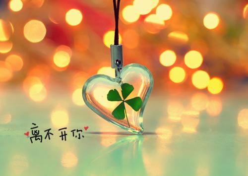 【新书】《豪门弃女的快意人生金赛赛》全文免费阅读无弹窗大结局-金赛赛全文全章节免费阅读