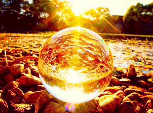 ***碎了心，你们却只顾养子？小说全集免费阅读 许墨许丰章节列表