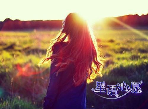 宁雪林琛柳青青小说 宁雪林琛柳青青免费全文阅读