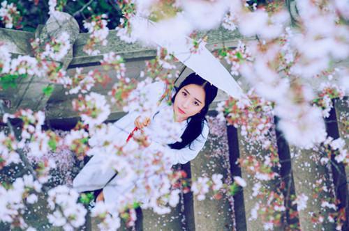 京妙仪楚紫妍小说名字 京妙仪楚紫妍全文免费阅读