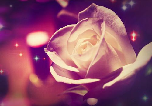 敢欺负我！穿成九王妃嘎嘎乱杀宋梨宁九夜未删节全文阅读