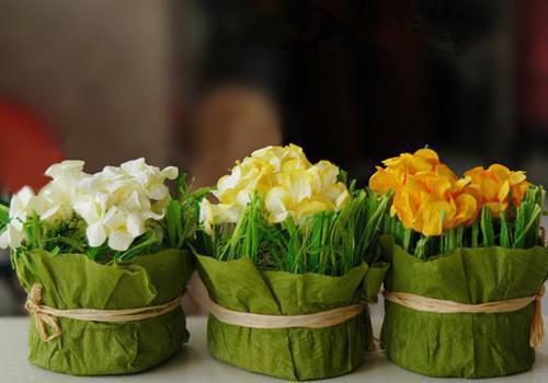 景轻轻祁陌小说在线阅读 景轻轻祁陌最新章节目录