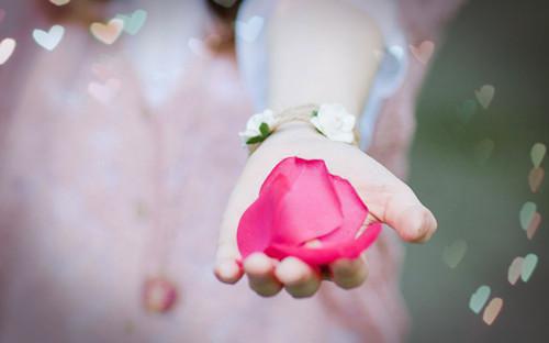 谭玖月傅南予免费阅读目录 谭玖月傅南予小说全文