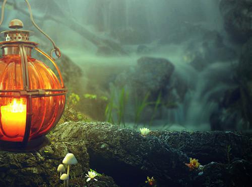 王涛高康大结局免费阅读 王涛高康全文小说