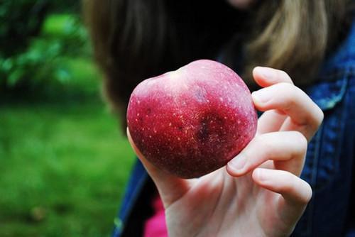 白飘柔宋森小说在哪里看 白飘柔宋森在线阅读第2章