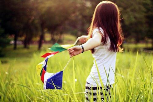 江念薇沈亦白小说叫什么 江念薇沈亦白小说全文免费阅读