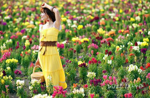 但凡未得到全文资源 孟知浔孟秋遥钟灵毓最新目录