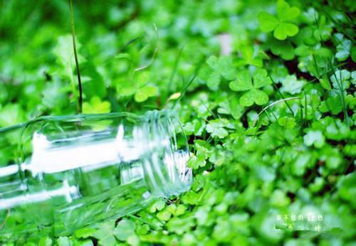 沈蔷意贺静生免费全本小说 沈蔷意贺静生章节目录