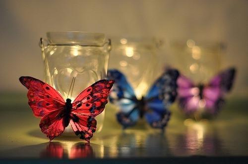 主角是宋映蓉沈晋山的小说叫什么名字沈晋山宋映蓉 完结版小说宋映蓉沈晋山