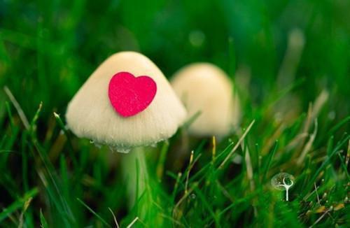 推介重生老李家，我召唤名将守边关（阿秃鲁罗士相）已完结，推介重生老李家，我召唤名将守边关已完结