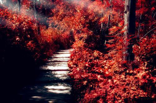 谢厌汐萧向庭小说（谢厌汐萧向庭）全文在线阅读无弹窗大结局谢厌汐萧向庭