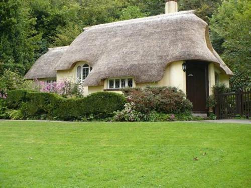 季遥星傅渊(全文免费阅读无弹窗大结局_(季遥星傅渊免费阅读全文大结局)季遥星傅渊最新章节列表（季遥星傅渊）