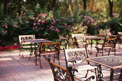 苏欲叶宗辰名最新章节_苏欲叶宗辰名全文阅读