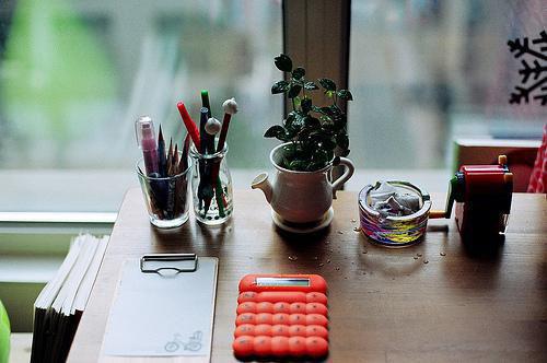 顾南枝楚明舟言溪免费小说 顾南枝楚明舟言溪全文阅读目录