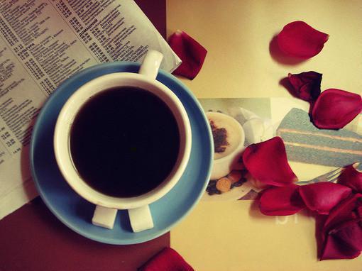 慕笙傅南琛是啥小说 慕笙傅南琛免费阅读无广告