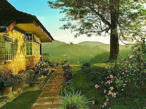 楚长洲许清知 楚长洲许清知小说免费阅读