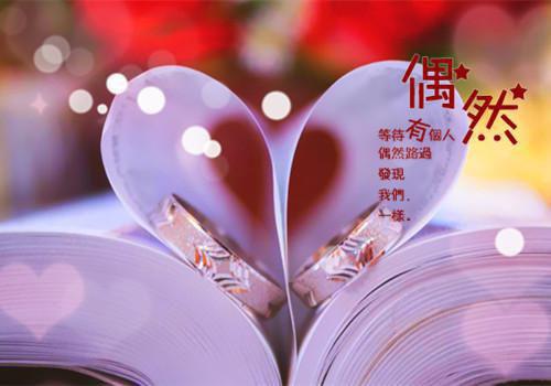 小言苏苏的小说 小言苏苏全文免费阅读